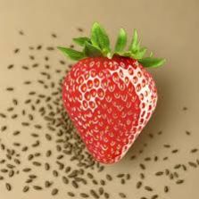 Strawberry Seeds