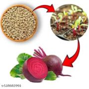 Beetroot