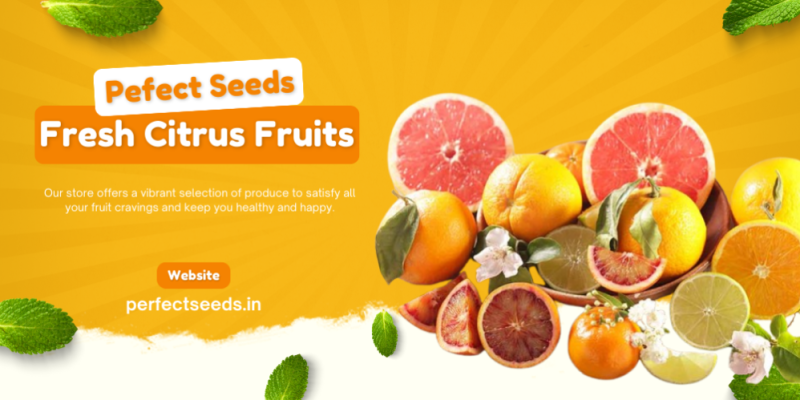 Citrus Fruits Seeds