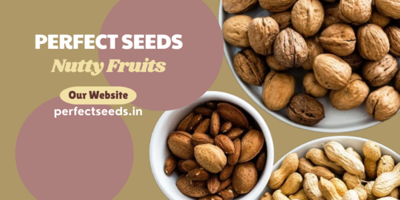 Nutty Fruit Seeds