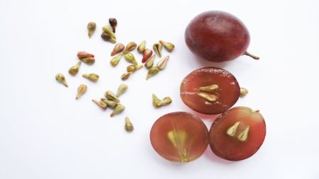 Grape Seeds