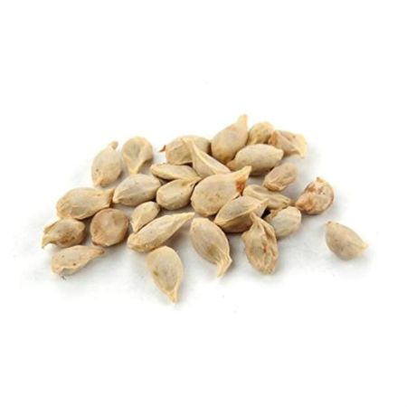 Lemon Seeds