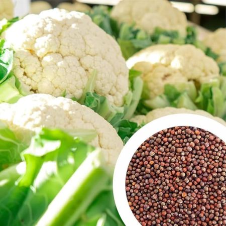 Cauliflower
