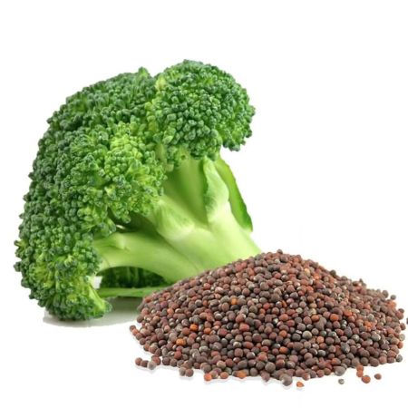Broccoli